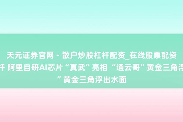 天元证券官网 - 散户炒股杠杆配资_在线股票配资官方杠杆 阿里自研AI芯片“真武”亮相 “通云哥”黄金三角浮出水面